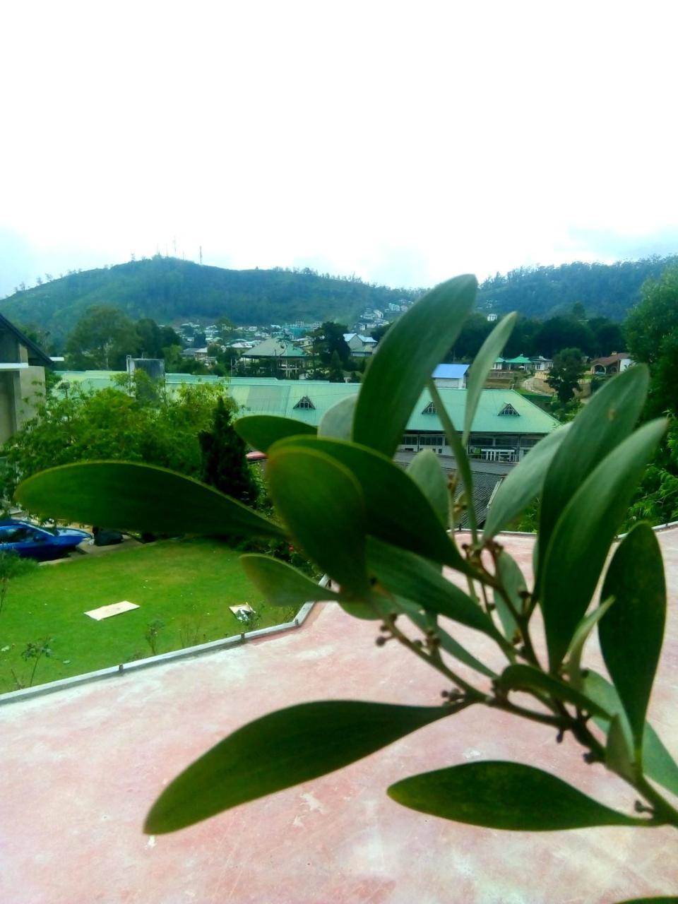 Nuwara Eliya Mountain View Homestay エクステリア 写真