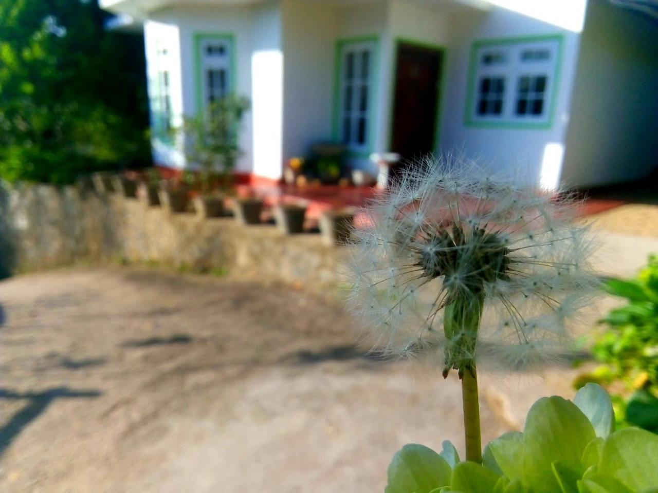 Nuwara Eliya Mountain View Homestay エクステリア 写真
