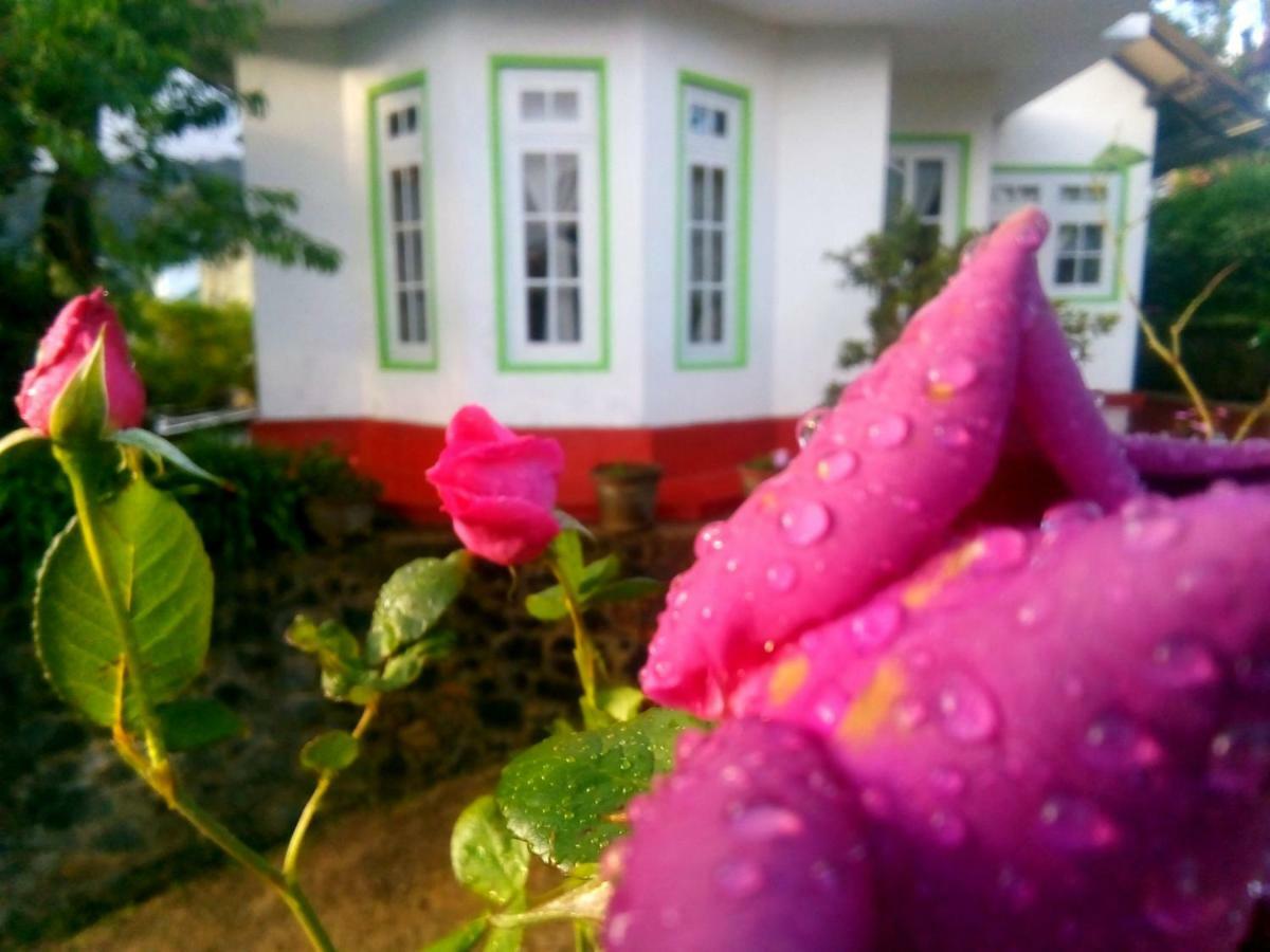 Nuwara Eliya Mountain View Homestay エクステリア 写真