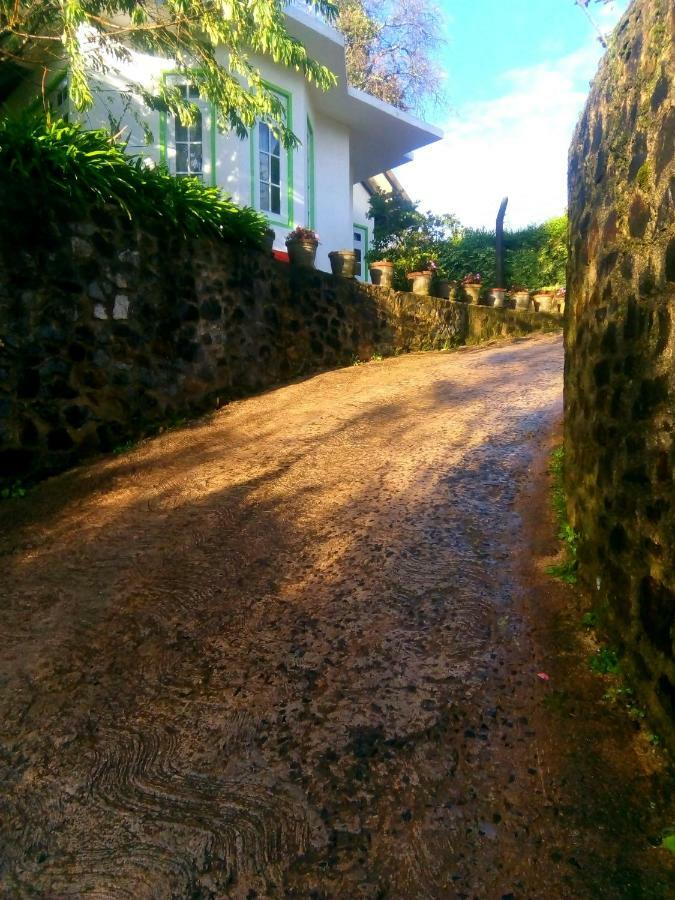Nuwara Eliya Mountain View Homestay エクステリア 写真